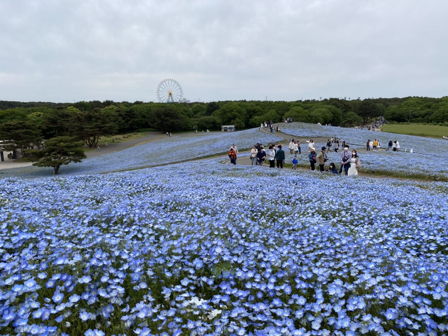 越谷の不動産のことならセンチュリー２１西部建設へ